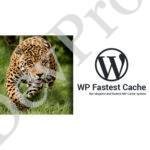 WP-Fastest-Cache-WordPress-Plugin