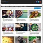 MyThemeShop-Ad-Sense-WordPress-Theme