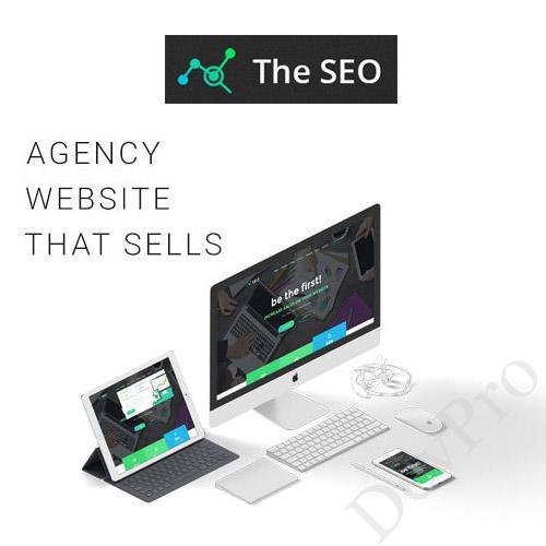 The-SEO-Digital-Marketing-Agency-WordPress-Theme The-SEO-Digital-Marketing-Agency-WordPress-Theme