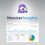 MonsterInsights-eCommerce-Addon