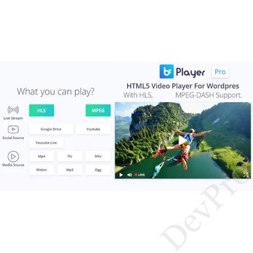 bzplayer Pro - Live Streaming Player WordPress Plugin bzplayer Pro - Live Streaming Player WordPress Plugin - Image 1