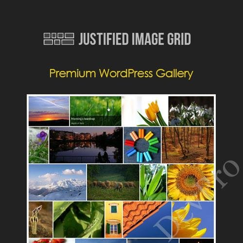Justified Image Grid Justified Image Grid - Image 1