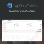 Powerful Filters for wpDataTables