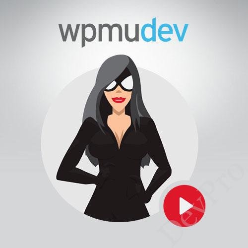 WPMU DEV SmartCrawl Pro WPMU DEV SmartCrawl Pro - Image 1