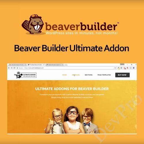 Beaver Builder Ultimate Addon Beaver Builder Ultimate Addon - Image 1