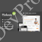 Modernize-Flexibility-of-WordPress