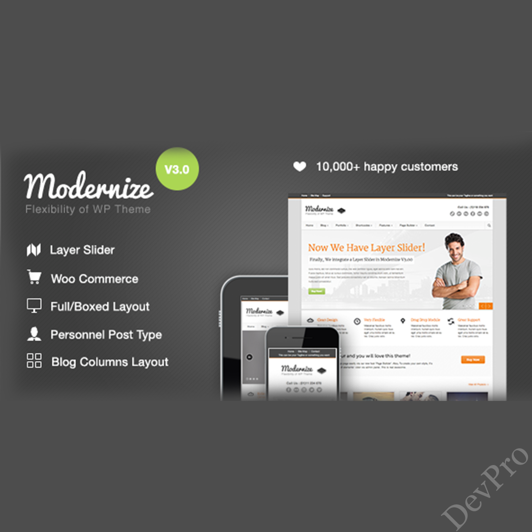 Modernize-Flexibility-of-WordPress Modernize-Flexibility-of-WordPress
