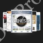 StudioPress Genesis Framework