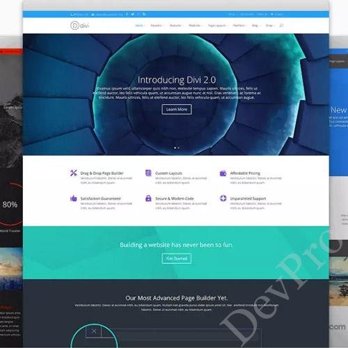 Elegant-Themes-Divi-WordPress-Theme