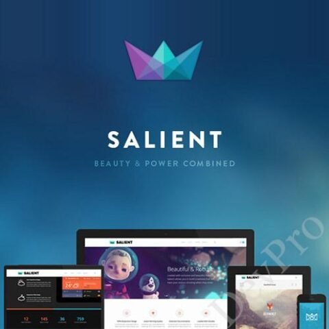 Salient-Responsive-Multi-Purpose-Theme