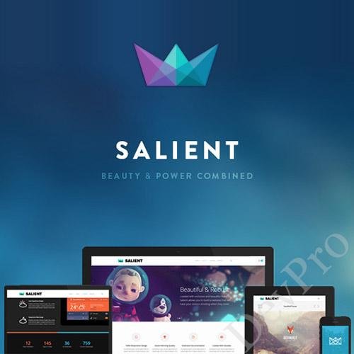 Salient-Responsive-Multi-Purpose-Theme