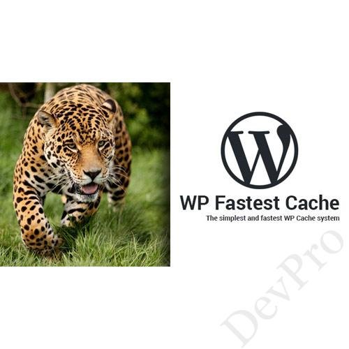 WP-Fastest-Cache-WordPress-Plugin WP-Fastest-Cache-WordPress-Plugin