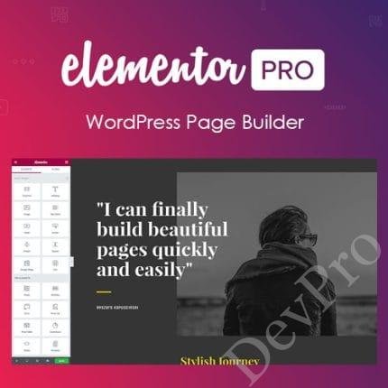 Elementor PRO