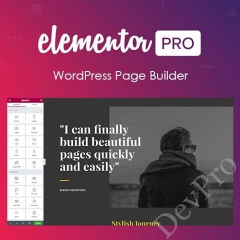 Elementor PRO