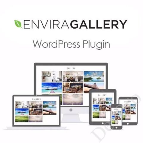 Envira-Gallery-WordPress-Plugin