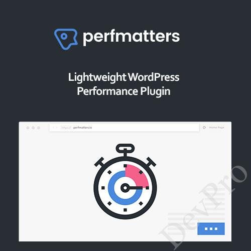 Perfmatters WordPress Plugin