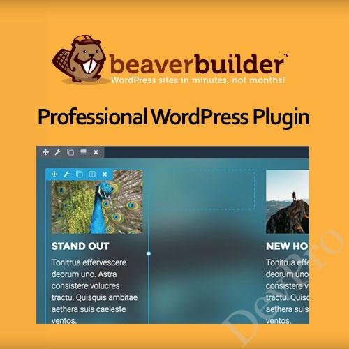 Beaver-Builder-Professional-WordPress-Plugin Beaver-Builder-Professional-WordPress-Plugin