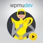 WPMU-DEV-Hummingbird-Pro