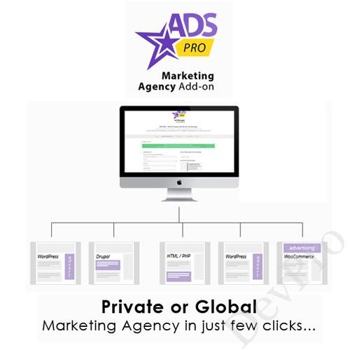 Ads Pro Add-on - WordPress Marketing Agency Ads Pro Add-on - WordPress Marketing Agency - Image 1