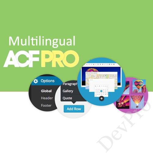 Advanced Custom Fields Multilingual Advanced Custom Fields Multilingual - Image 1