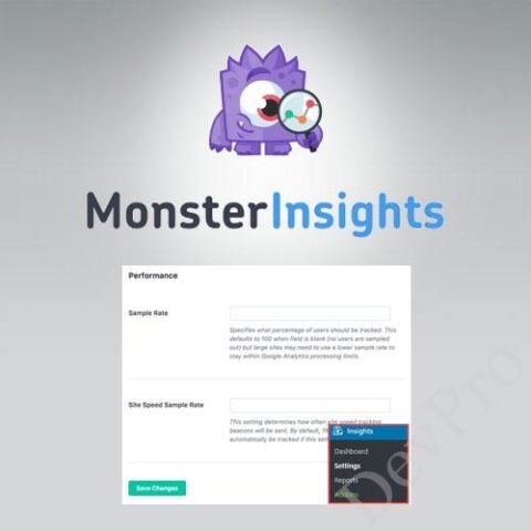 MonsterInsights - Performance Addon