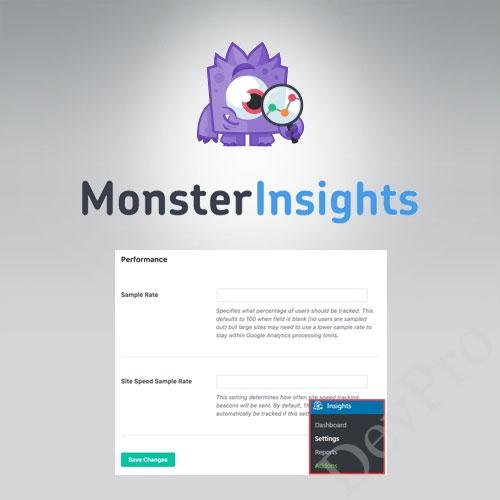 MonsterInsights - Performance Addon MonsterInsights - Performance Addon - Image 1