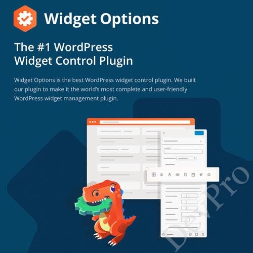 Extended Widget Options Extended Widget Options - Image 1