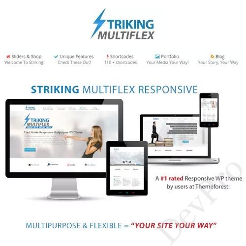 Striking MultiFlex & Ecommerce Responsive WP Theme Striking MultiFlex & Ecommerce Responsive WP Theme - Image 1