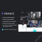Finance-Consultant